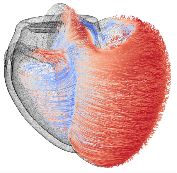 Recent SMASH-HCM Paper Awards Blueprint of a Beat winning image at ARCHER2